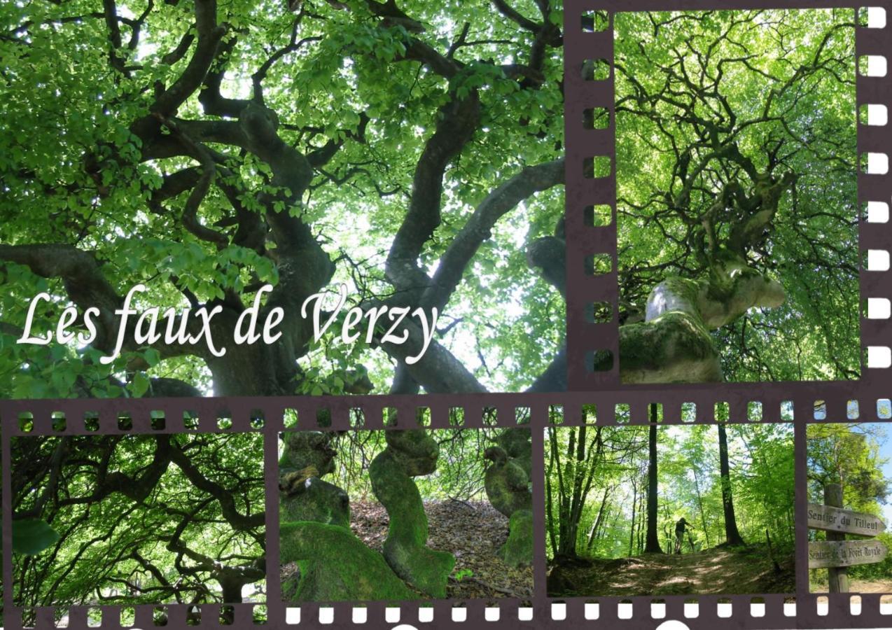 Bedinreims Cozy Parking&wifi Free Ideal 4 Adultes Et 2 Enfants Appartement Reims